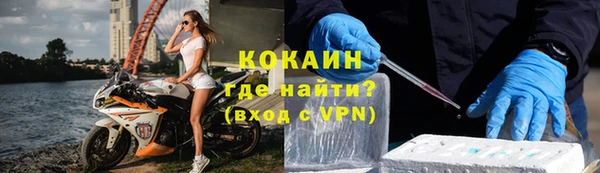 прущие грибы Навашино