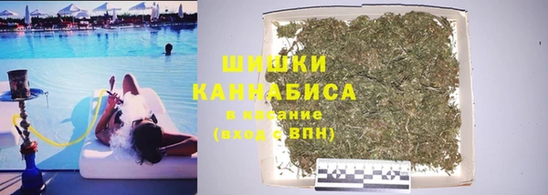 прущие грибы Навашино