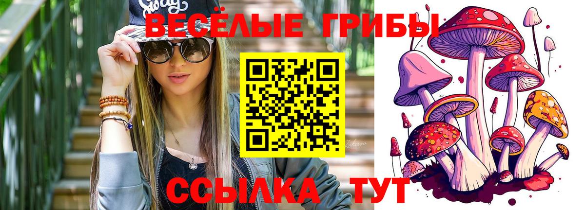 Галлюциногенные грибы Cubensis  Галлюциногенные грибы ЛСД  Вход с VPN  цена наркотик  Подольск 